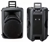 Grande puissance professionnelle BT haut-parleur extérieur chariot haut-parleur Audio Portable karaoké lecteur stéréo sons haut-parleur