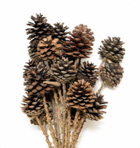 Decoración de Ramas de Piñas de Pino Naturales, Conos Redondos Hechos a Mano Ecológicos para Decoración Navideña de Habitaciones y Fiestas - Product Image 3