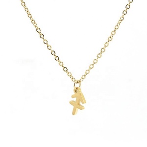 Collier Constellation en Acier Inoxydable Tendance pour Femme, Chaîne Clavicule Simple 18K Douze Constellations, Style Instagram - Product Image 5