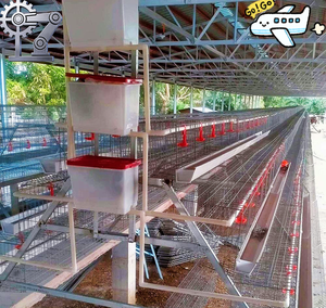 Nouvelle cage à poulets de type A avec système d'alimentation et d'abreuvement automatiques, en acier galvanisé, garantie de 2 ans, vente directe d'usine - Product Image 5