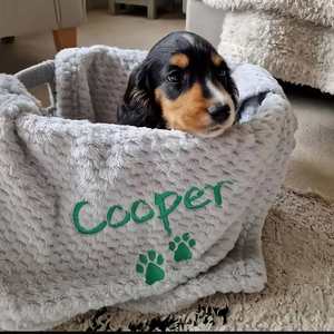 Manta para Perro, Manta de Franela Suave para Mascotas con Nombre e Icono Bordados, Manta-Cama Personalizada para Perro/Gato - Product Image 3