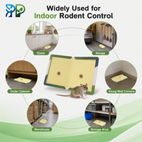 Piège à colle pliable pour souris et rats, forte adhérence, non toxique, pour le contrôle des rongeurs en intérieur - Offre Spéciale