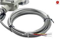 Explosion-Proof Temperature Gauge with Flameproof Junction Box for Coal Mine Conveyor Pump Water Tank