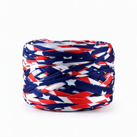 Polyester Space Dyed T Shirt Yarn Crochet Yarn 285g 2cm Width Brand New Fabric Knitting Yarn for Crochet Bags