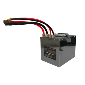 Paquete de Baterías de Litio de Alta Potencia de 72V 20Ah, 21700 LiFePO4, <span class=keywords><strong>ANT</strong></span> Smart BMS, 800 Ciclos, Salida de Corriente Elevada, para Bicicleta Eléctrica - Product Image 3