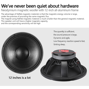 12 "chuyên nghiệp loa âm thanh 400W karaoke loa cho hội nghị trình bày sân khấu biểu diễn - Product Image 5