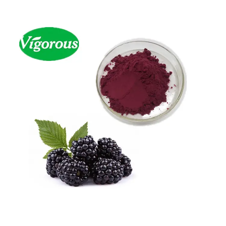 Organic Food grade Rubus fruticosus powder good taste healthy blackberry extract powder