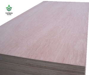 Contreplaqué stratifié en bois de peuplier, contreplaqué commercial, feuille de contreplaqué à acheter - Product Image 1