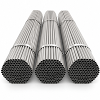 Tuyau sans soudure en acier inoxydable 316L, tube sanitaire haute pression pour la ligne de transformation des aliments, des produits laitiers, des brasseries et des boissons