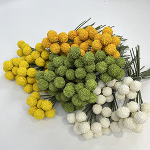 Bouquet décoratif réaliste de fruits dorés - Décoration de remise de diplôme, maison, bureau - Fleurs artificielles longues en plastique au design moderne - Plante artificielle - Product Image 1