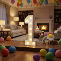 Lettres et chiffres lumineux LED personnalisés, blanc chaud, blanc froid, alphabet décoratif lumineux pour mariage, anniversaire, remise de diplôme, événement, location