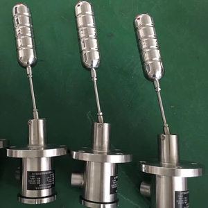 สวิตช์เตือนระดับน้ำแบบลอยติดด้านข้าง OEM/OEM ป้องกันการระเบิด - Product Image 1