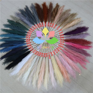 E66 Nouveau design Poteau en plastique breveté <span class=keywords><strong>Fausse</strong></span> <span class=keywords><strong>herbe</strong></span> <span class=keywords><strong>de</strong></span> <span class=keywords><strong>pampa</strong></span> en soie Fleurs artificielles <span class=keywords><strong>Fausse</strong></span> <span class=keywords><strong>herbe</strong></span> <span class=keywords><strong>de</strong></span> <span class=keywords><strong>pampa</strong></span> pour décoration <span class=keywords><strong>de</strong></span> mariage à <span class=keywords><strong>la</strong></span> maison - Product Image 4