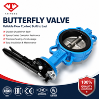   Vanne papillon, vannes papillon sanitaires, vanne papillon en acier inoxydable, vanne pneumatique électrique