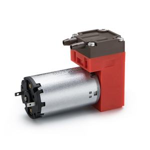 שמן חם למכירה שמן מיקרו גז בחינם משאבת אוויר נגד קורוזיה מדגם משאבה 12v <span class=keywords><strong>dc</strong></span> חשמלי משאבת ואקום עבור שיניים - Product Image 2