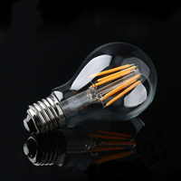 Ampoule LED Edison à filament dimmable DC A19 A60, culot E26 E27 B22, 12V 24V 36V 48V, avec télécommande, ampoule intelligente