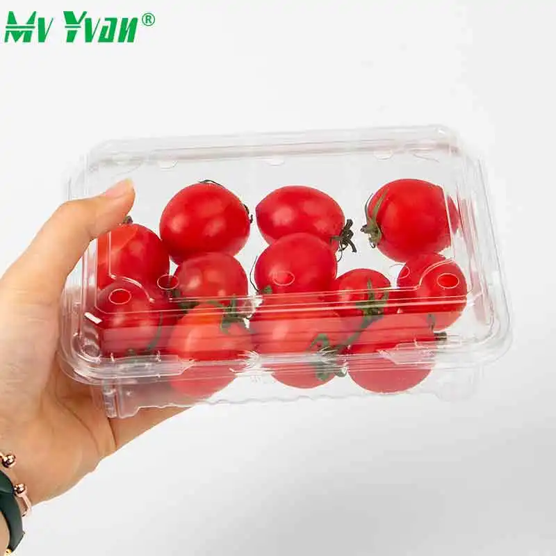 Récipient transparent jetable et de haute qualité pour fruits à clapet avec couvercle pour raisin frais tomate fraise