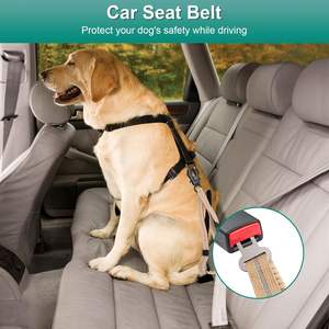 Tali ikat pinggang anjing, desain baru tahan ledakan reflektif elastis menyerap guncangan tali anjing latihan taktis tali kursi mobil - Product Image 6