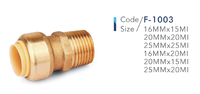Raccord poussoir de plomberie en laiton sans plomb BH 1/2 "raccord rapide Pex Push Fit dans les raccords pour tuyau Pex