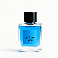 Parfum en gros, rebranding de cosmétiques, parfum frais, 100 ml, eau de parfum en spray, parfum longue durée, unisexe, emballage personnalisé avec logo