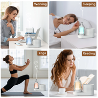 Diffuseur d'arômes ultrasonique en gros, conception de produit, logo personnalisé, emballage OEM ODM, diffuseur d'huiles essentielles