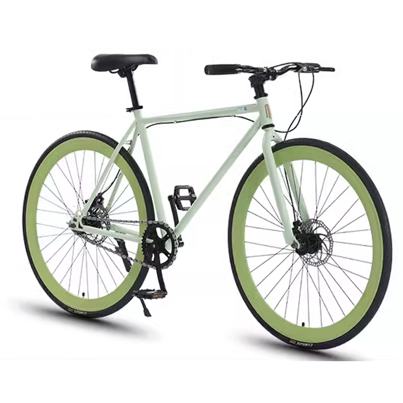 愛知引取 LeaderBike725 シングルスピード フリーギア サイズ54
