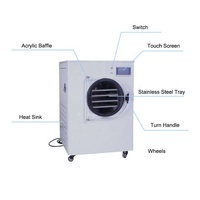 Huis-tuin-en-keuken kleine voedselvacuümvriesdroogmachine 4kg 8kg Lyofilisator Tafelmodel Fruitvriesdroogapparaat Mini-vriesdroger te koop