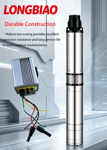 Bomba de agua solar sumergible LEI de 3 pulgadas DC24-280V para pozos profundos, 250W-2200W, de alto flujo, fuera de la red, para riego agrícola - Product Image 3