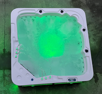 Piscine extérieure de spa de jardin en acrylique pour 5 personnes avec lumière LED, fabriquée par l'usine source de Foshan