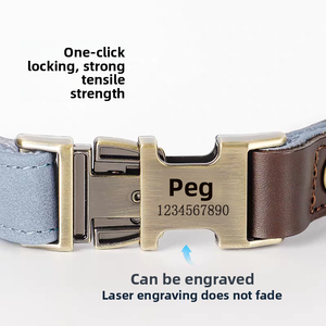 Ensemble collier et laisse pour chien en cuir de vache écologique réglable, motif uni, style classique de luxe, accessoires en coton polyester durables - Product Image 4