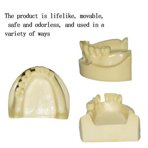 Bor Gigi Implan Tulang Buatan, Model Gigi Tanam dan Latihan Implan Gigi - Product Image 4