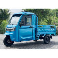 Allemagne en stock EEC COC Produits agricoles Chariot basculant Tricycles électriques Tuk Tuk 800KG DDP