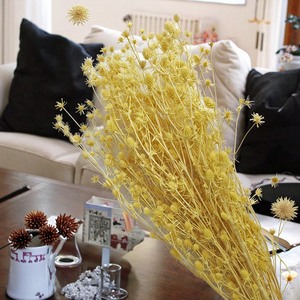 Accesorios de tiro de producción DIY, amante de las flores secas eternas, fruta, espina, apio, flores secas, Día de la madre, Navidad, respetuoso con el medio ambiente - Product Image 3