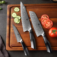 Pisau Koki Dapur Baja Damaskus, Set Pisau Koki Dapur Profesional 3 Pcs 67 Lapisan Jepang dengan Pegangan Premium G10