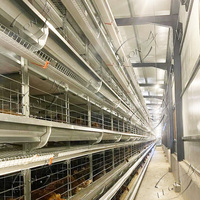 Cage de poulet de ferme de volaille de conception de haute qualité à vendre