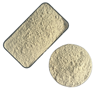 Protéine de levure hypoallergénique de qualité alimentaire F80EC en poudre, sans OGM, vente en gros