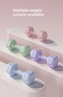 Petits haltères en fonte durables pour femmes, usage domestique, entraînement musculaire des bras et amincissement du ventre, revêtement en caoutchouc