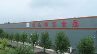 Gtlj Chinese Groothandel Droge Groente Fruit Rode Radijs Chips Gebakken Groenten Knapperige Dadish Snacks Aziatische Snacks Droge Fruitgroente