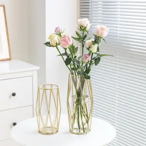 INS Style moderne doré fer Art verre Vase décoratif haut de gamme hydroponique fleur Vase décor à la maison pour salon et bureau