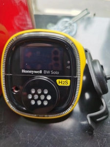 Détecteur de gaz unique portable BW Lite H2S avec capteur électrochimique – Détection de fuites économique – Royaume-Uni - Product Image 2