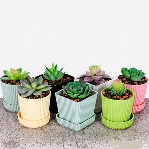 2.5 inch 65 mm colorful plastic round square small succulent cactus bonsai flower pot with saucers