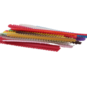 Zahnmodell für die Ausbildung, bunte Zahnspangen, Ligaturen, Dental-Power-Chains, kieferorthopädische elastische Gummibänder - Product Image 3