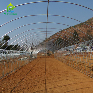 Low <strong>Cost</strong> 200 Sqm Plastic Shed Single Span Vegetable Grow Tent Film <strong>Poly</strong> <strong>Tunnel</strong> Rose Greenhouse - Product Image 5