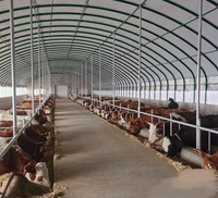 Abri pour chèvre et mouton à bas prix, modèles de ferme, modèles de ferme, à vendre