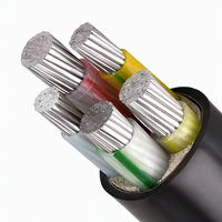 Câble d'alimentation industriel et minier basse tension en PVC isolé 10mm 16mm 25mm 35mm 50mm 70mm 95mm 120mm 150mm 185mm 240mm