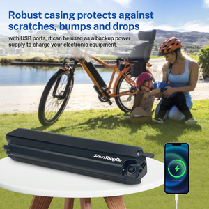Reention-Dorado Pro <span class=keywords><strong>Plus</strong></span> Max 48V Batterie Lithium Ion Akku 10.5Ah 14Ah 17.5Ah 21Ah pour vélo électrique <span class=keywords><strong>Moscow</strong></span> Milano - Product Image 5