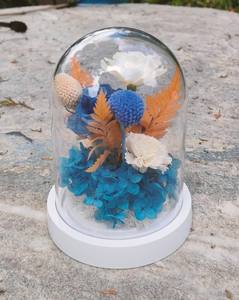 Taiwan Qualité Grain De Bois-Dôme De Fleur Éternelle D'aspect Naturel De Grande Taille Avec Couvercle Transparent PS Et Base ABS - Product Image 5