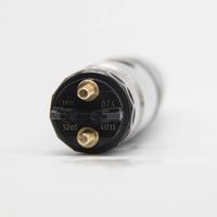 Inyector de Combustible Common Rail de Alto Rendimiento 0445120053 0 445 120 053