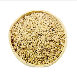 Malta Frita, Cuidado Herbal Natural para la Digestión y la Salud del Baño de Glándulas. Malta Frita - Product Image 6
