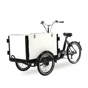 Triciclo elettrico a 3 ruote per gelato in vendita tricicli per ghiaccioli bici per gelato carrelli per gelato mobili